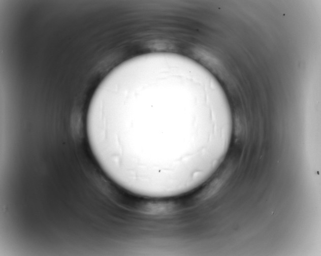 X0000088150453200706042032