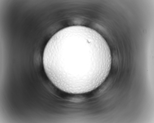 X0000088150459200706042032