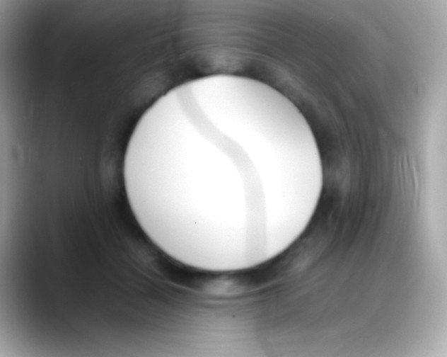 X0000088150460200706042032