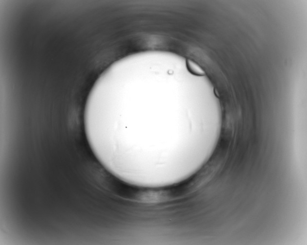 X0000088150461200706042032