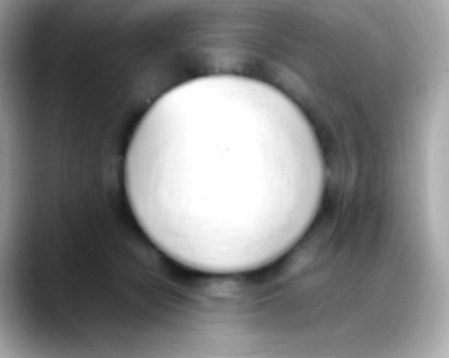 X0000088150462200706042032