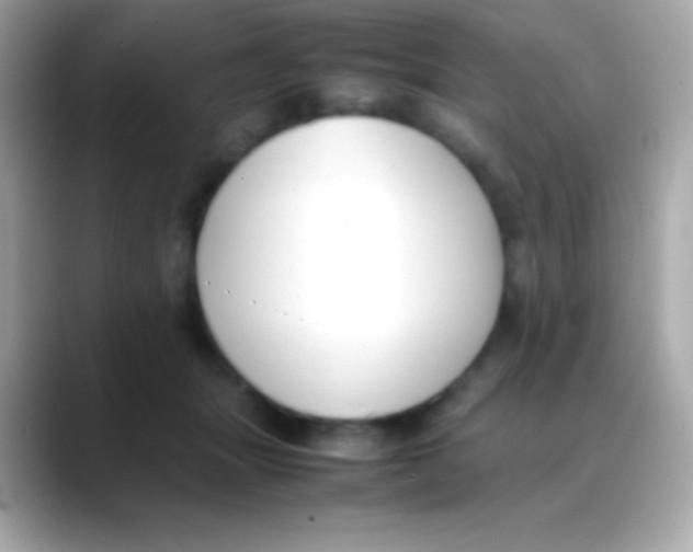 X0000088150463200706042032