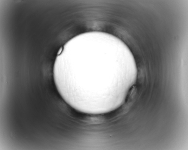 X0000088150466200706042032