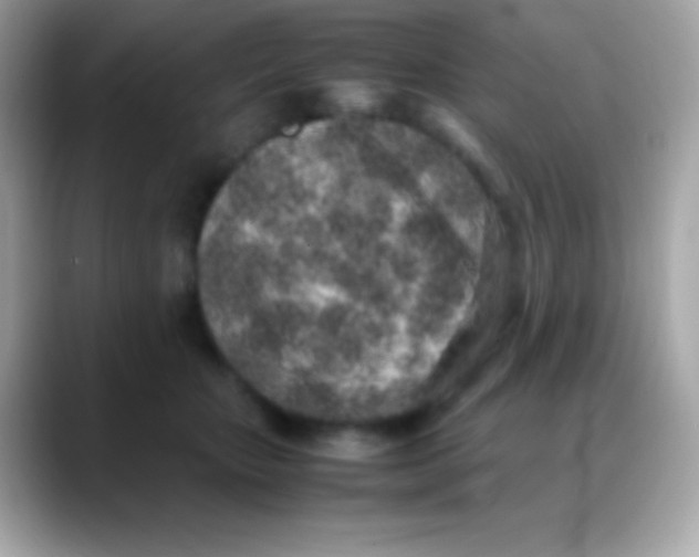 X0000088150467200706042032