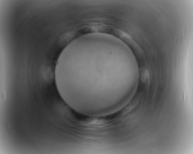 X0000088150471200706042032