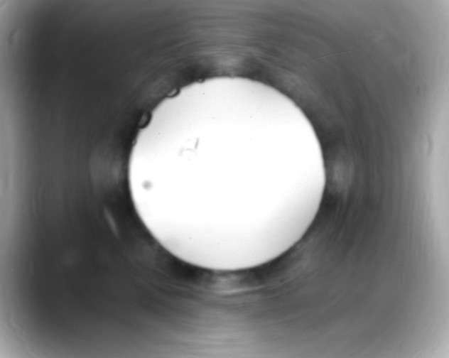 X0000088150472200706042032