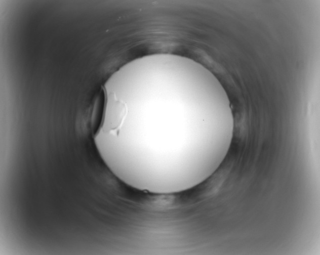 X0000088150474200706042033