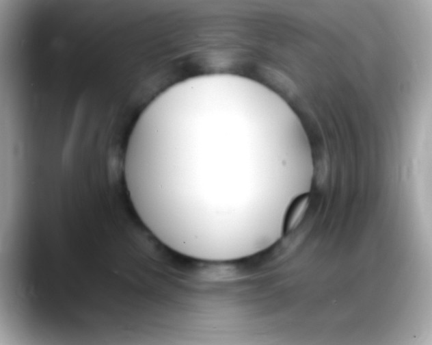 X0000088150476200706042033