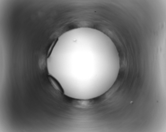 X0000088150478200706042033