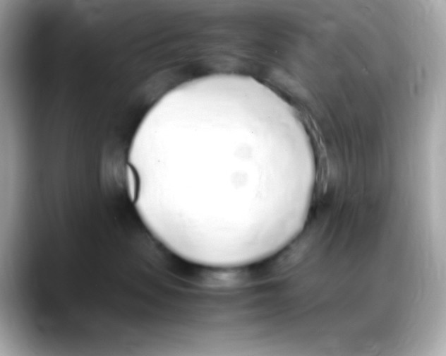 X0000088150479200706042033