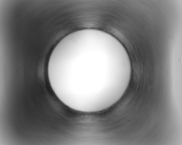 X0000088150482200706042032