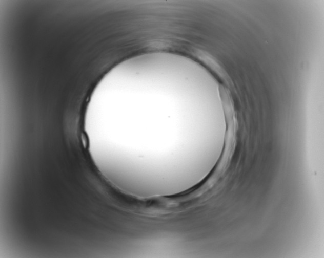 X0000088150485200706042032