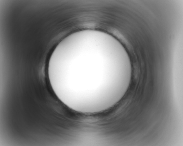 X0000088150486200706042032