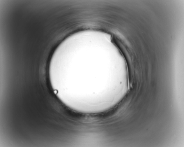 X0000088150487200706042032