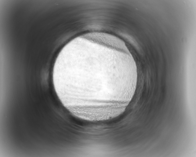 X0000088150488200706042032