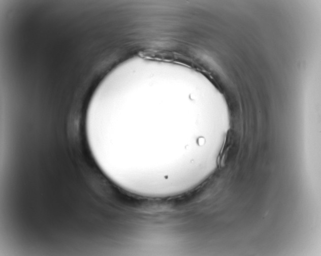 X0000088150491200706042032