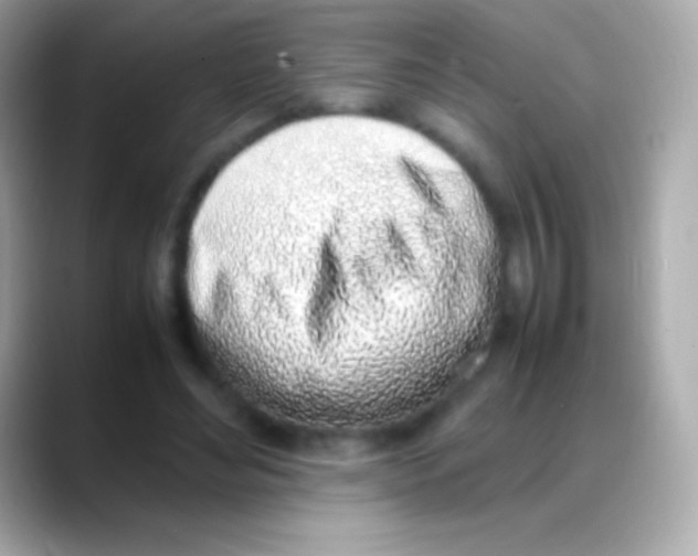 X0000088150492200706042032