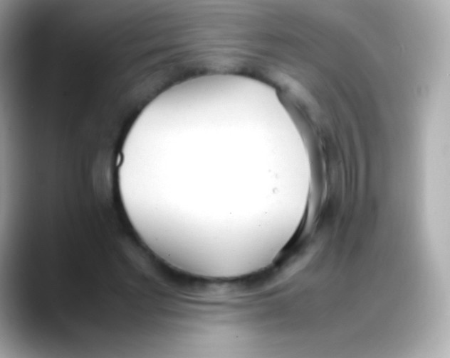 X0000088150493200706042032