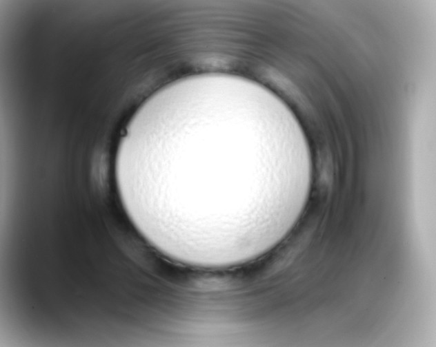 X0000088150494200706042032