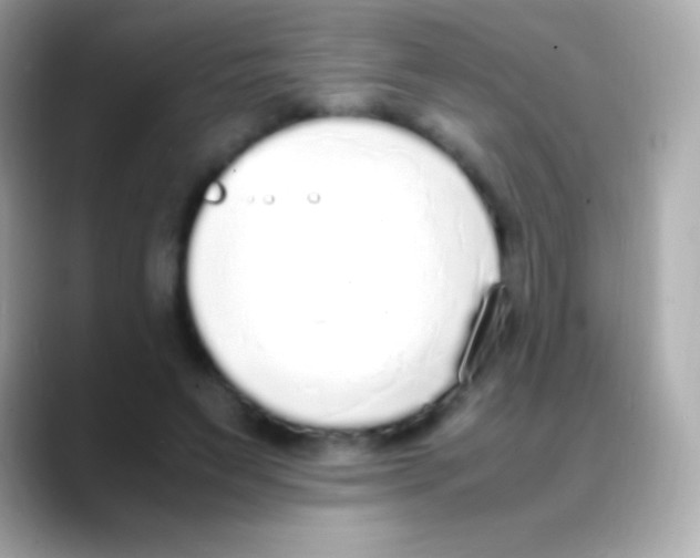 X0000088150495200706042032