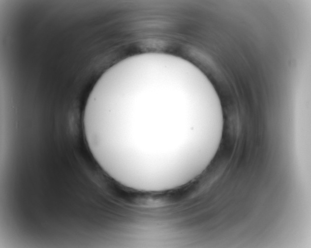 X0000088150498200706042032