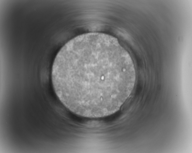 X0000088150499200706042032