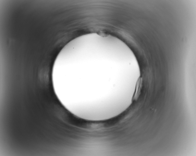 X0000088150501200706042032