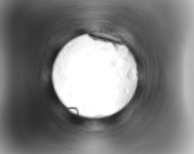 X0000088150503200706042032