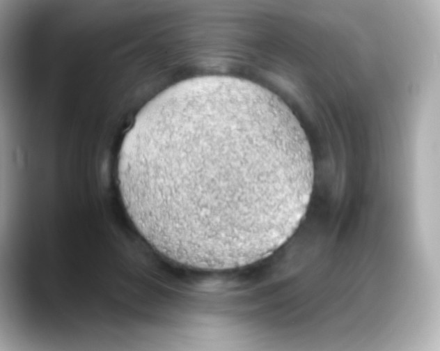 X0000088150504200706042032