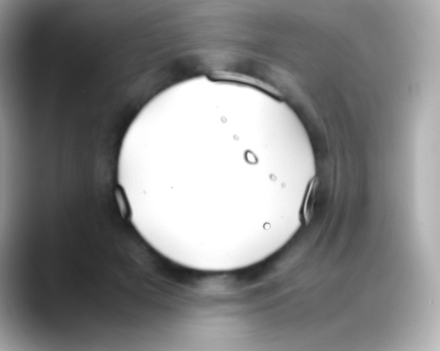 X0000088150505200706042032