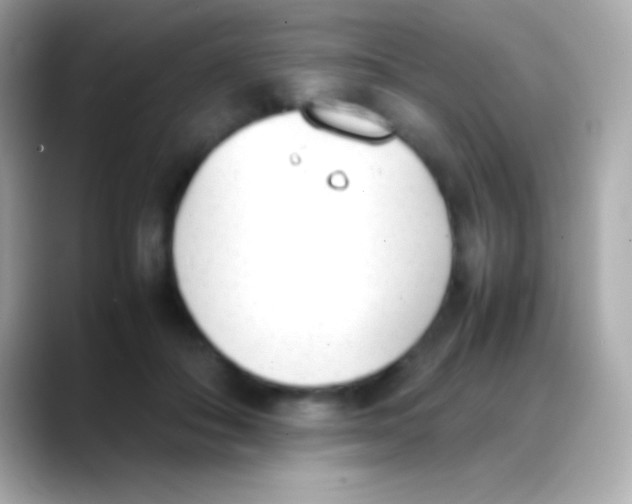 X0000088150506200706042032