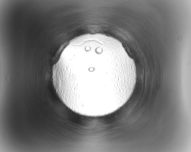 X0000088150507200706042032