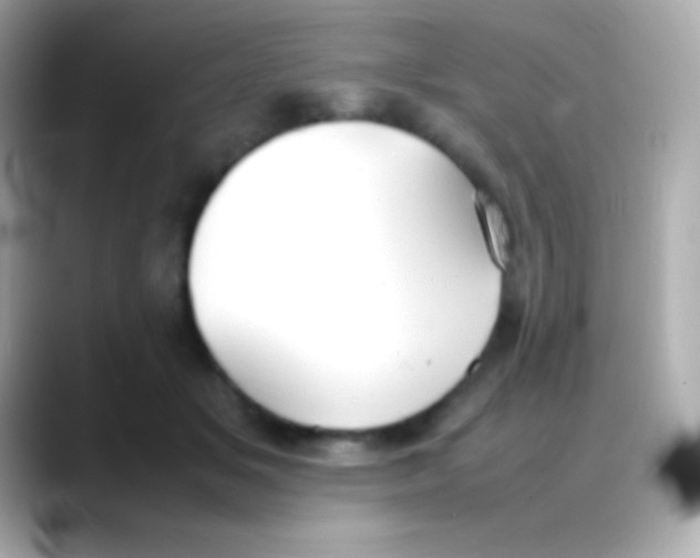 X0000088150509200706042032