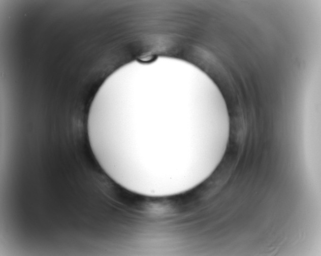 X0000088150510200706042032