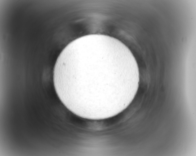 X0000088150511200706042032