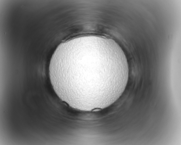 X0000088150512200706042032