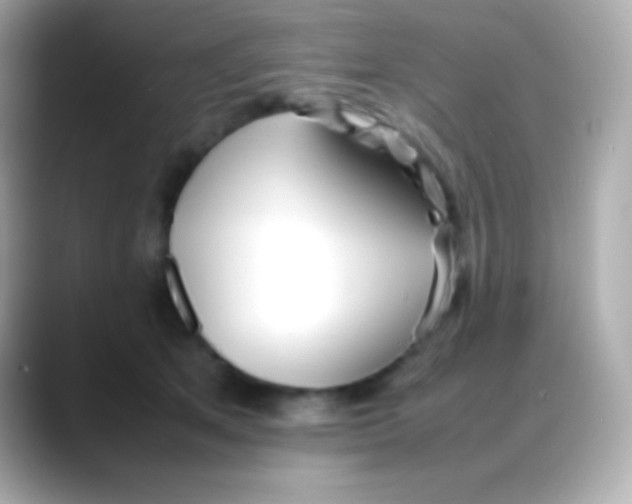 X0000088150513200706042032