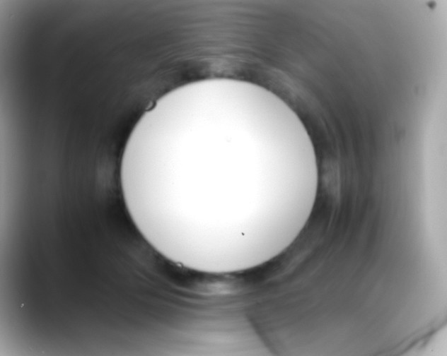 X0000088150514200706042032