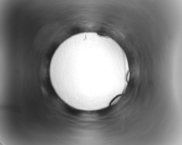 X0000088150515200706042032