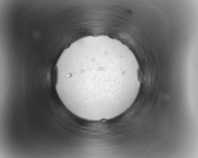 X0000088150516200706042032