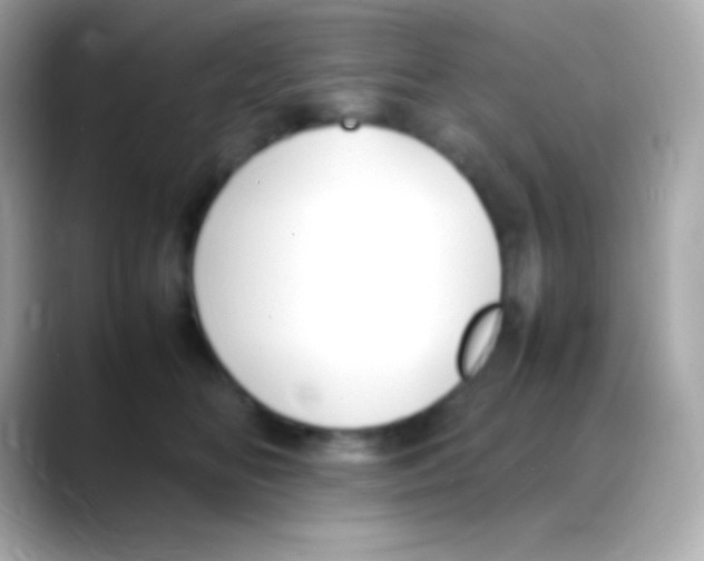 X0000088150518200706042031