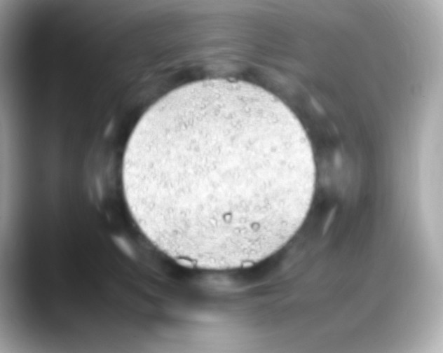 X0000088150519200706042031