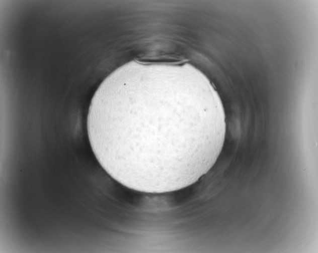 X0000088150520200706042031