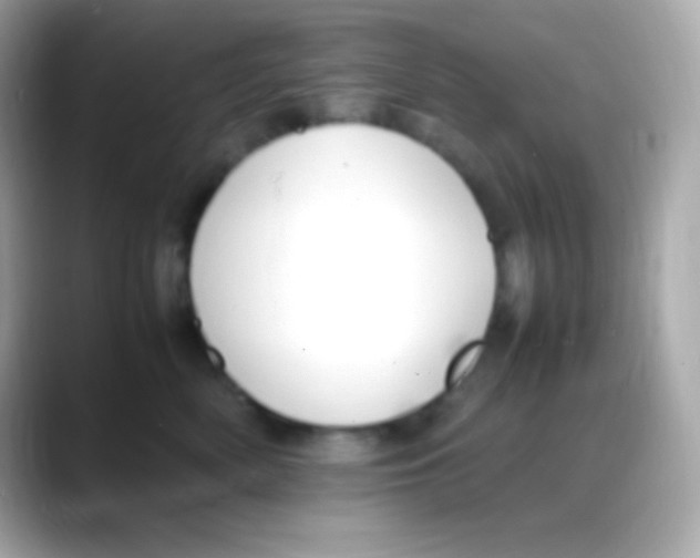 X0000088150522200706042031