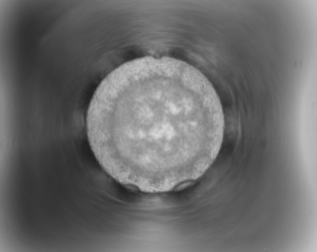 X0000088150523200706042031