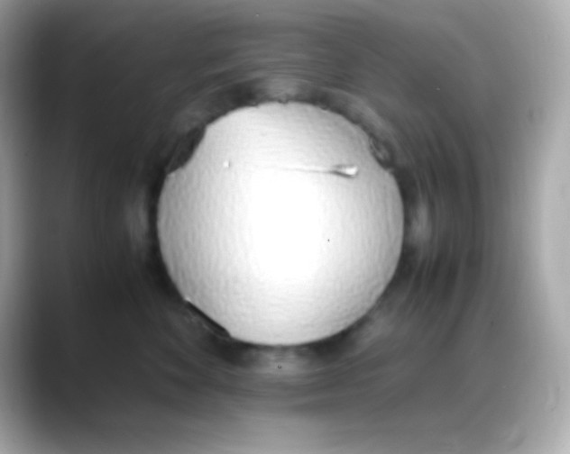 X0000088150524200706042031