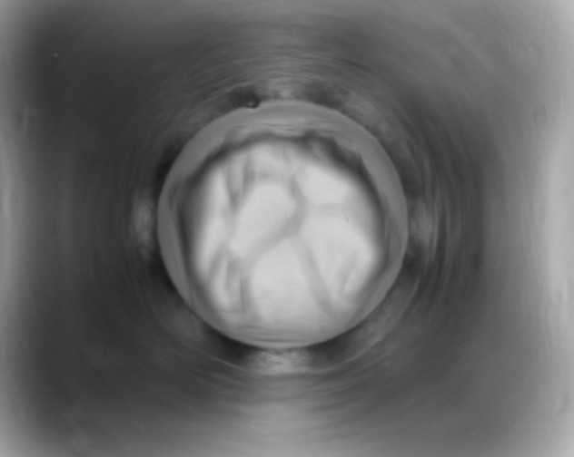 X0000088150526200706042031