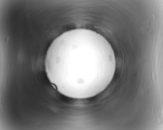 X0000088150527200706042031