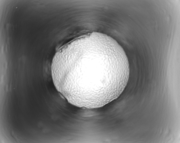 X0000088150528200706042031