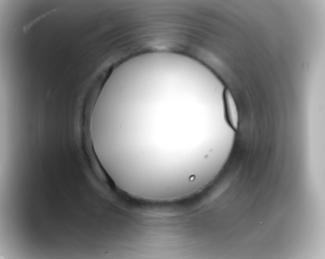 X0000088150530200706042031